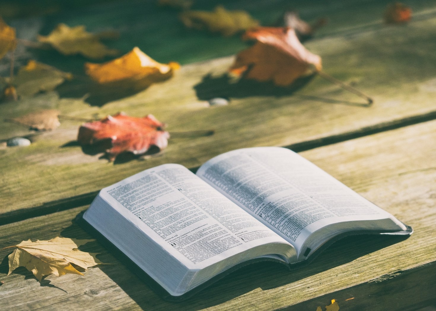 The Great Tribulation: Lessons for Today